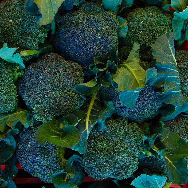 Broccolo Tabasso