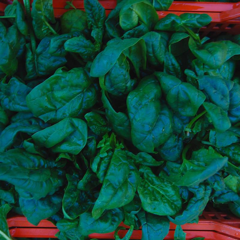 Spinaci Sfusi Tabasso