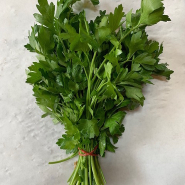 Mazzetto prezzemolo