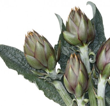 Carciofi liguri extra
